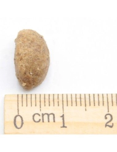 Puppy Junior Solo Cinghiale Ipoallergenico Low Grain