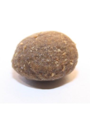 Sacco crocchette Grain Free Dogbauer Pesce