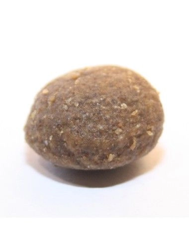 Sacco crocchette Grain Free Dogbauer Pesce