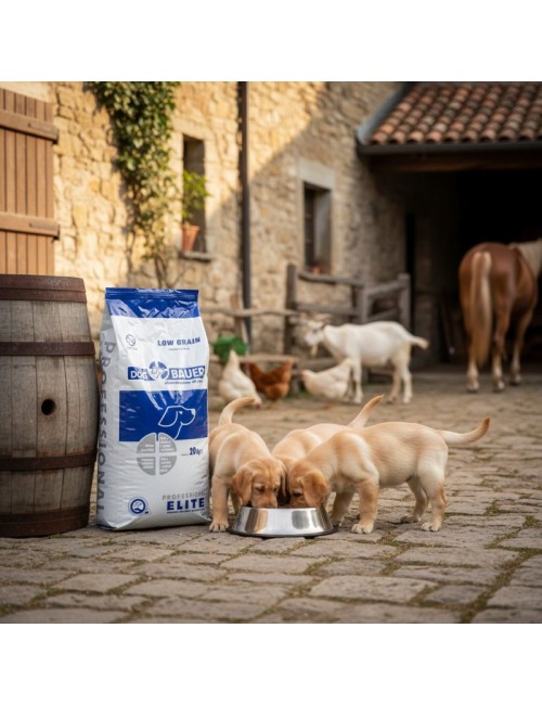 Uovo e Agnello Benessere Cuccioli