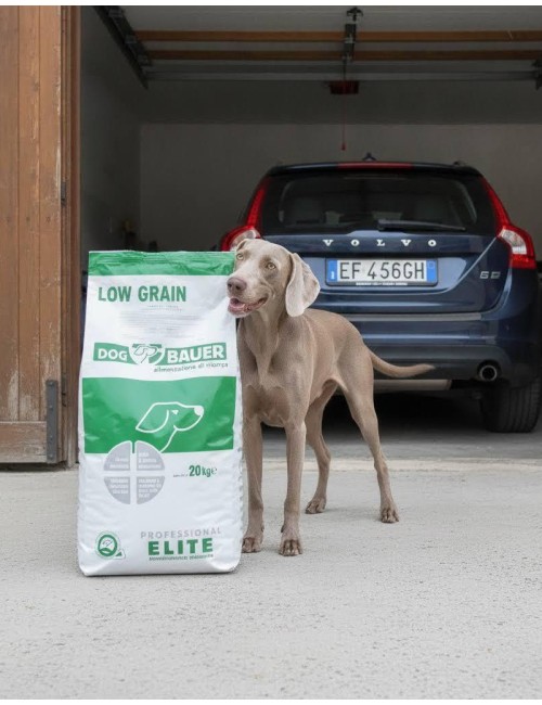 Solo Maiale Ipoallergenico Low Grain