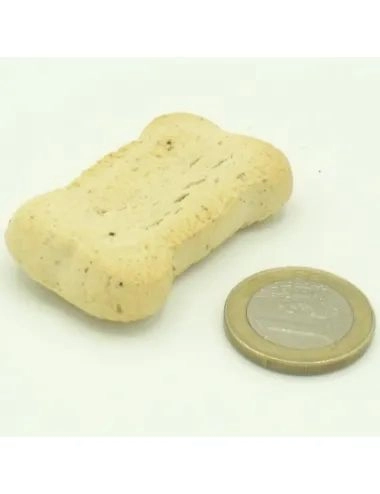 Biscotto per Cani al Tonno Vs/ moneta da un euro | Dogbauer