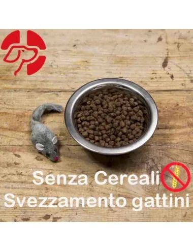 Ciotola crocchette svezzamento gattini senza cereali Dogbauer