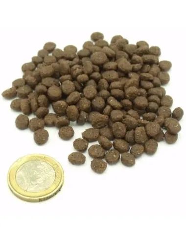 Crocchetta svezzamento gattini senza cereali Dogbauer vs moneta da un euro