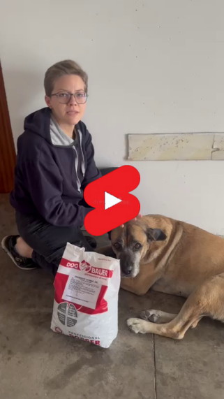 Ragazza con Bracco di Weimar Felici con le crocchette Dogbauer Low Grain